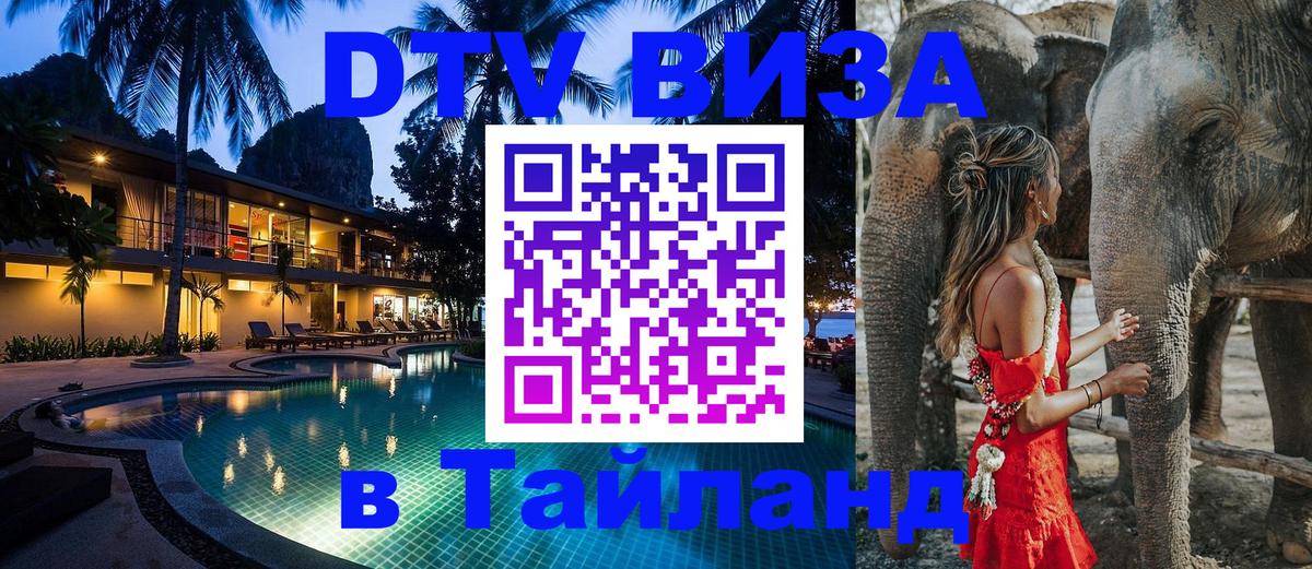 Оформление DTV визы под ключ: стоимость и тарифы, только загранпаспорт - 20.11.2025 